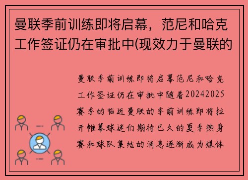 曼联季前训练即将启幕，范尼和哈克工作签证仍在审批中(现效力于曼联的范尼是哪国人)