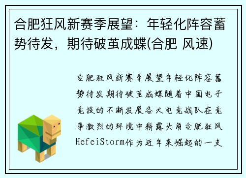 合肥狂风新赛季展望：年轻化阵容蓄势待发，期待破茧成蝶(合肥 风速)