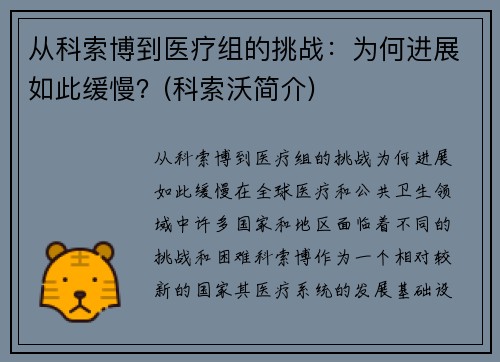 从科索博到医疗组的挑战：为何进展如此缓慢？(科索沃简介)