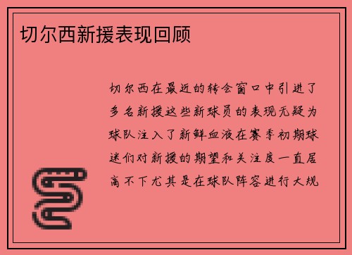 切尔西新援表现回顾